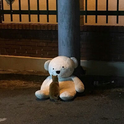  반팔에서 패딩까지