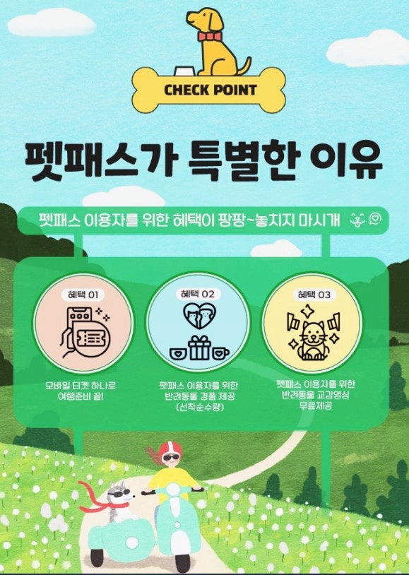 애견동반 춘천여행 (강원투어패스로 즐기자 애견동반 춘천여행 (강원투어패스로 즐기자