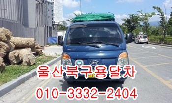 울산북구용달 입실 외동 울릉도 불국사 모화 제주도 양북 감포. 울산북구용달 입실 외동 울릉도 불국사 모화 제주도 양북 감포.