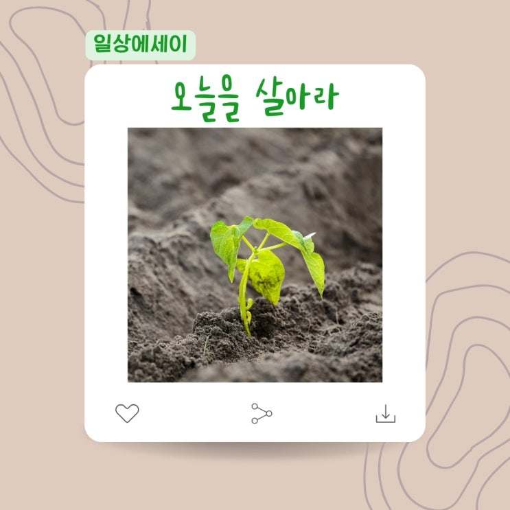  [일상 에세이] 오늘을 살아라