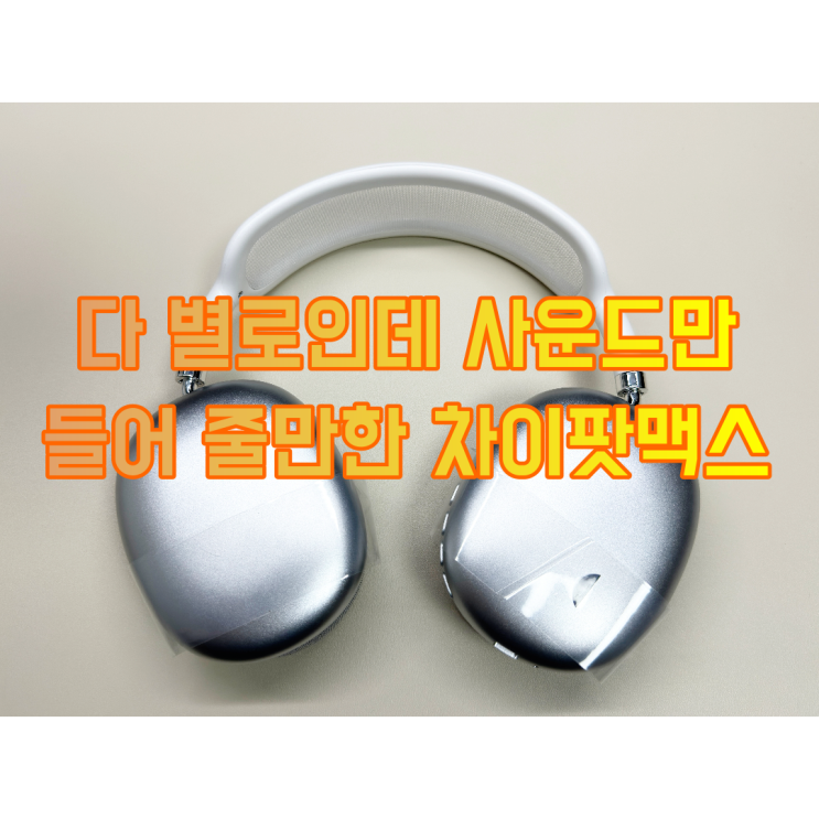  다 별로인데 음질만 들어줄 만한 차이팟 맥스 리뷰