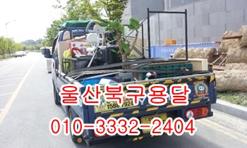 울산북구용달 입실 울릉도 외동 모화 제주도 불국사 정자 양남. 울산북구용달 입실 울릉도 외동 모화 제주도 불국사 정자 양남.