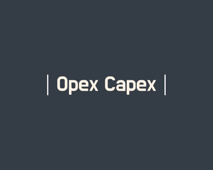  CAPEX OPEX 투자계획, 투자관리