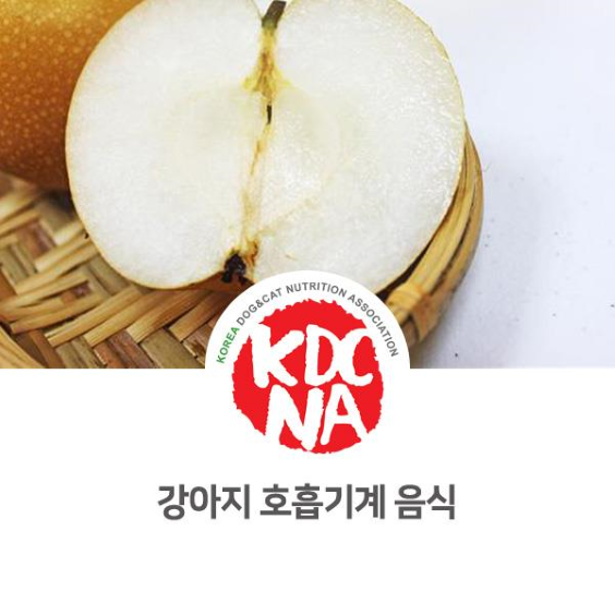  NO.1102 강아지 호흡기계에 도움을 주는 음식