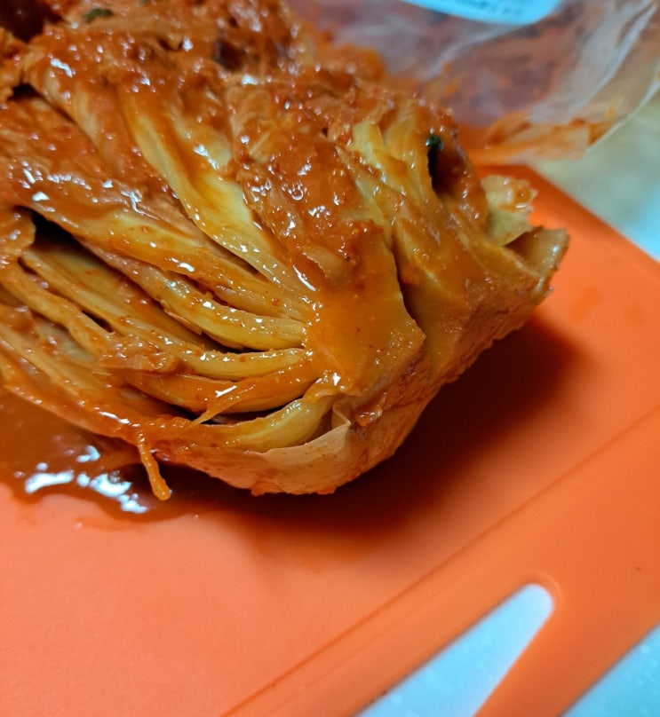 맛있게 매운김치 금치! 맵잘알이 좋아하는 전라도 매운김치 맛있게 매운김치 금치! 맵잘알이 좋아하는 전라도 매운김치