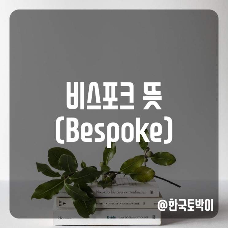  비스포크 뜻 (전자제품 bespoke)