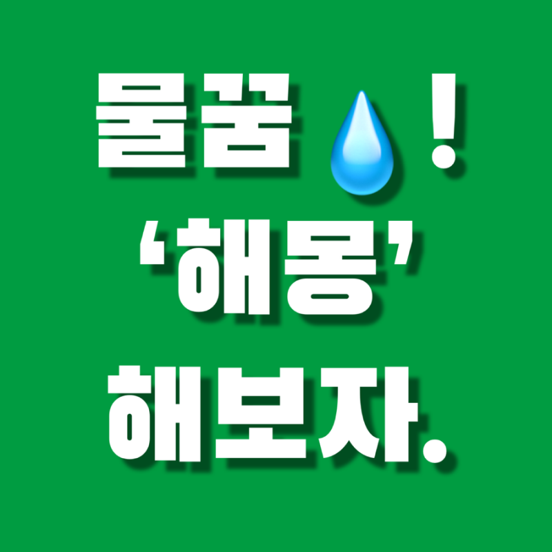 물 꿈 해몽(차가 물에 빠지는, 맑은 물, 물난리 나는, 물에 잠기는 꿈)