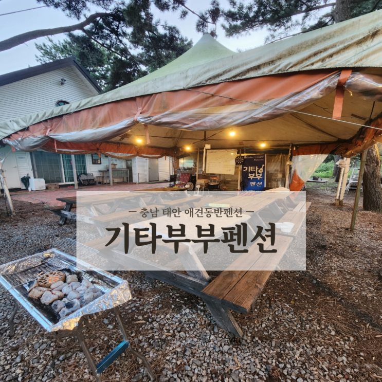  충남 태안 안면도 애견펜션 라이브공연이 기가 막히고 해루질 체험 가능한 기타부부펜션