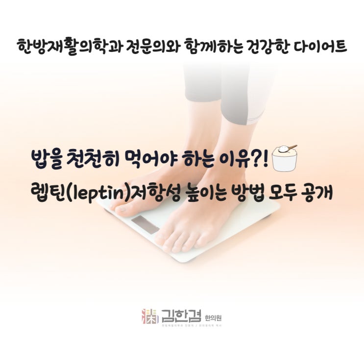  밥을 천천히 먹어야 하는 이유 (feat. 포만감 호르몬,렙틴 저항성 낮추는 법)