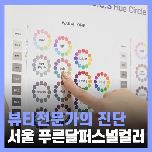  서울 퍼스널컬러진단 푸른달컬러 컬러의 모든 것