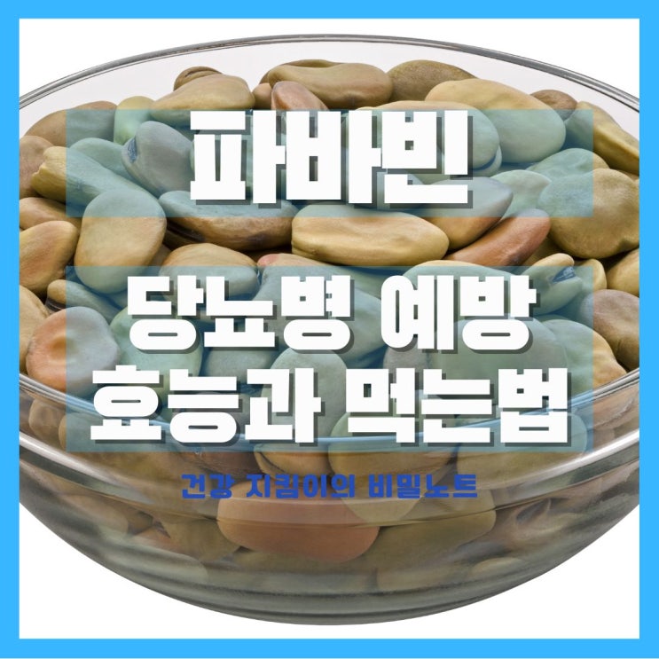  당뇨에 좋은 파바빈 효능 먹는법