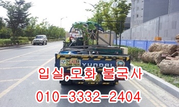  입실용달 외동 울릉도 모화 불국사 제주도 양남 정자 감포.