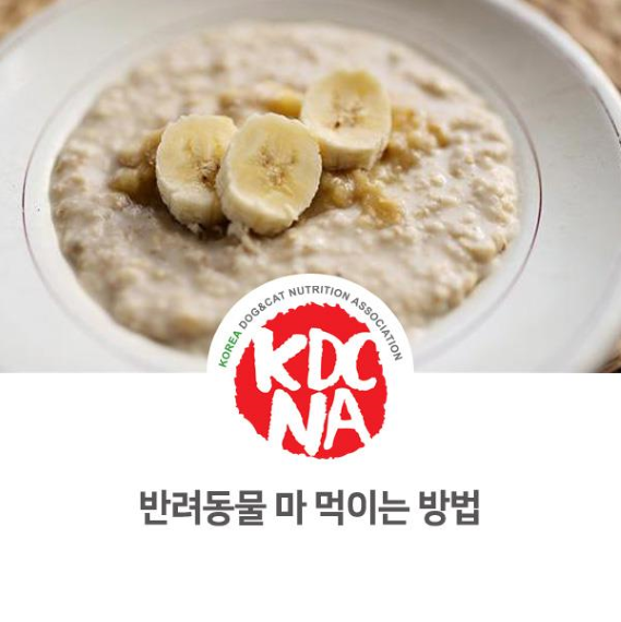  NO.1103 반려동물 마 먹이는 방법