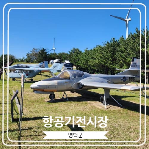 [항공기전시장] 실제 군에서 사용했던 비행기들의 실물을 볼 수 있는 영덕의 야외 전시장