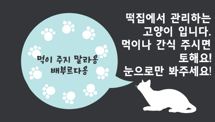  [231118] 수영 15회(자유수영,비교 영상, 버츄미러 후기)