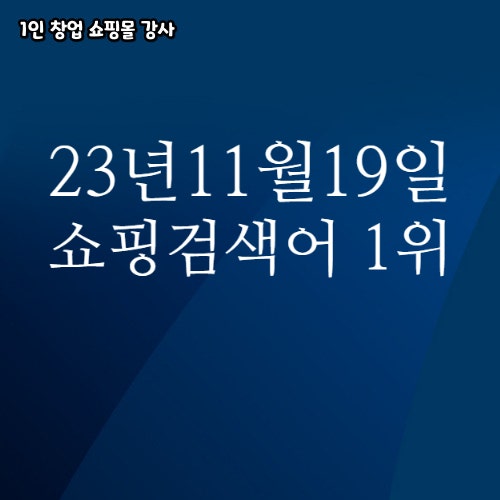  2023년 11월 19일 네이버쇼핑 분야별 인기 검색어 1위