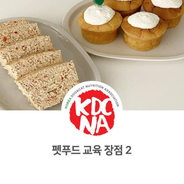 NO.1106 반려인으로서 체감하는 펫푸드 교육의 장점