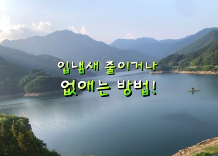 입냄새 줄이거나 없애는 방법! 입냄새 줄이거나 없애는 방법!