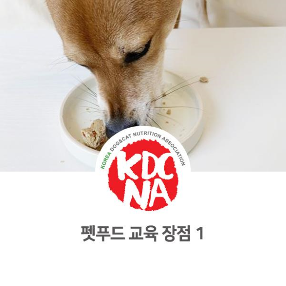  NO.1105 반려인으로서 체감하는 펫푸드 교육의 장점