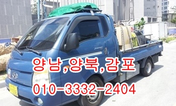 양남용달 양북 감포 울릉도 양포 장기 정자 불국사 제주도 입실 모화. 양남용달 양북 감포 울릉도 양포 장기 정자 불국사 제주도 입실 모화.