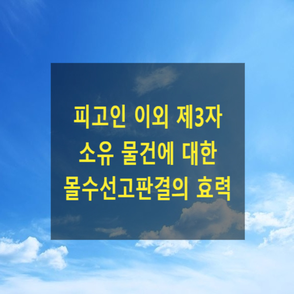  형사 절차에서 피고인 이외 제3자 소유 물건에 대한 몰수선고판결의 효력