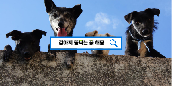  [꿈해몽풀이] 강아지 똥 꿈 개가 똥 싸는 꿈 해몽