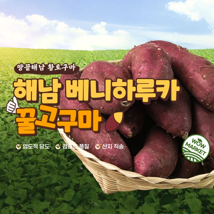  해남 고구마 10KG 무농약꿀고구마