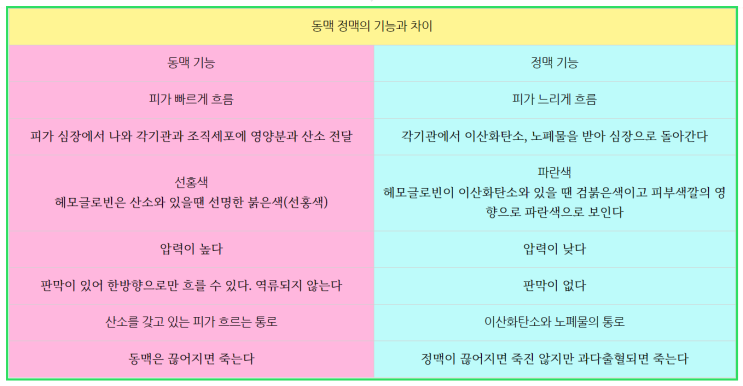  동맥, 정맥 기능과 차이