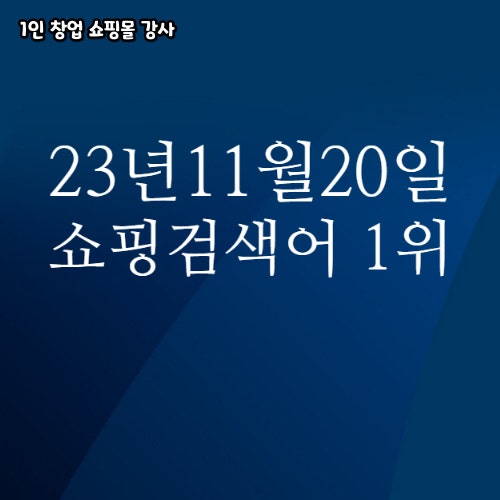 2023년 11월 20일 네이버쇼핑 분야별 인기 검색어 1위