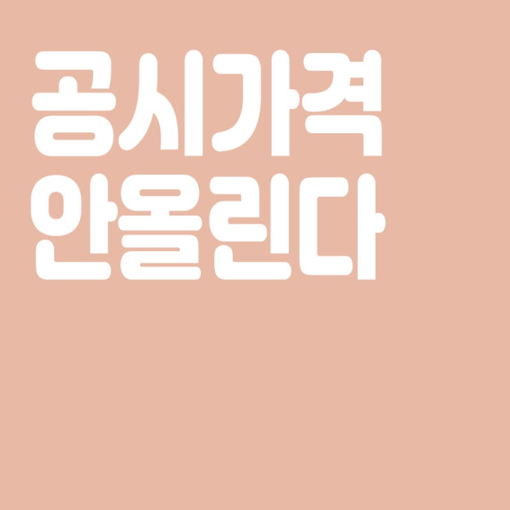  국토부 "공시가격 현실화 계획 지속 적용하면 공정성 저해",공시가격 안올린다