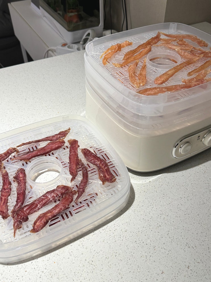  키친아트 식품건조기 간단한 강아지 수제간식 만들기