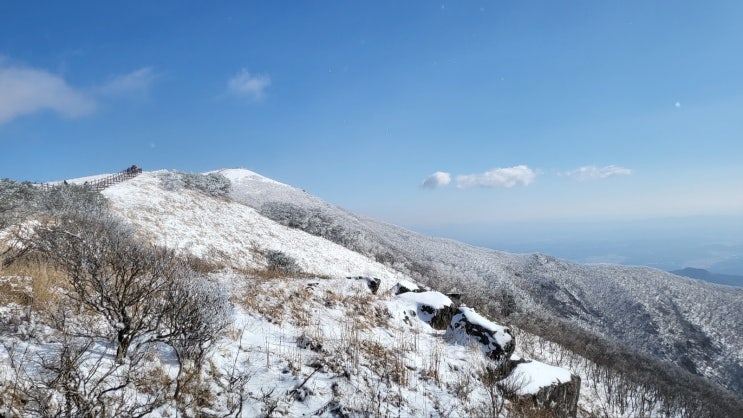  첫눈 맞이 산행(feat. 계룡산, 소백산)