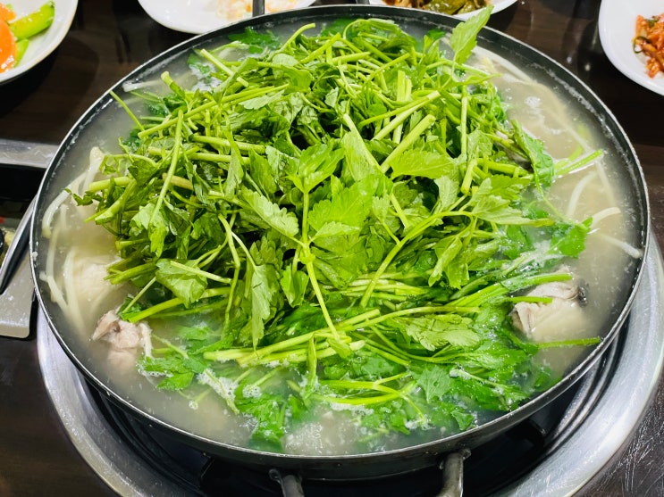  [내돈내산] 신당역 근처 오래된 복 맛집, 강산복집
