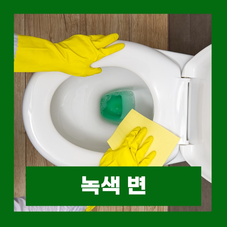 성인 녹색 변 원인 초록똥 건강상태