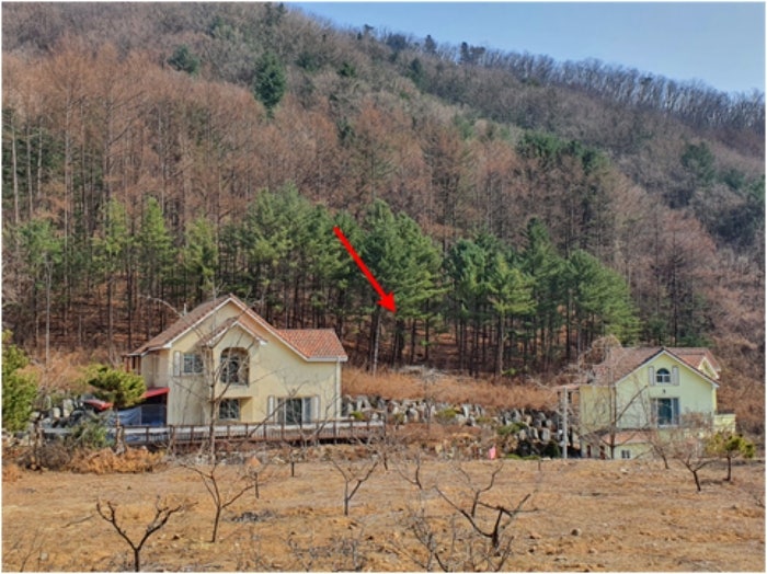 아름뜰펜션 사진 6