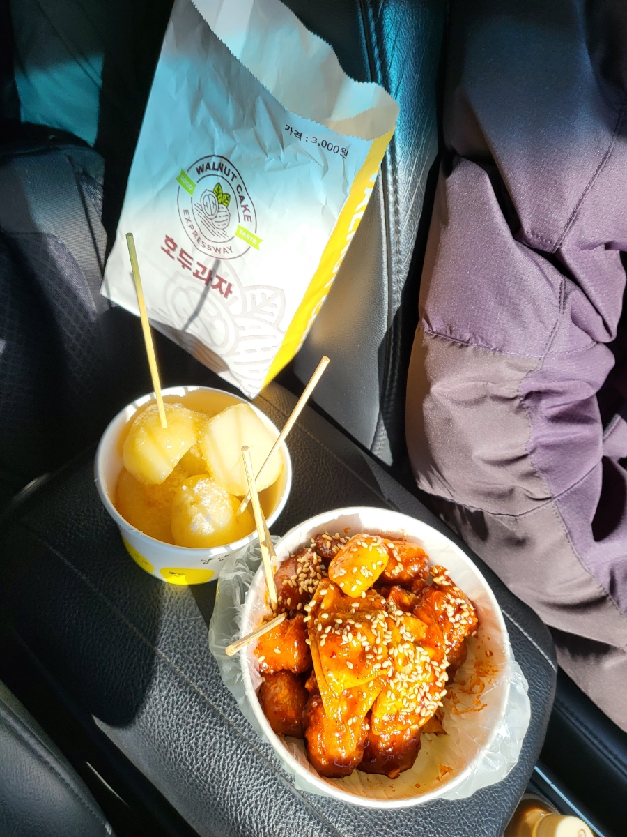 치악신림오토캠핑장 사진 1