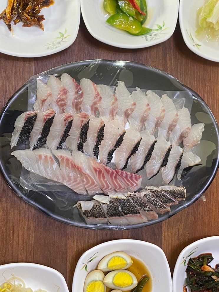  마라도에서 긴꼬리벵에돔 잡아 모슬포 맛집 바당포구로 (day3 - 1)