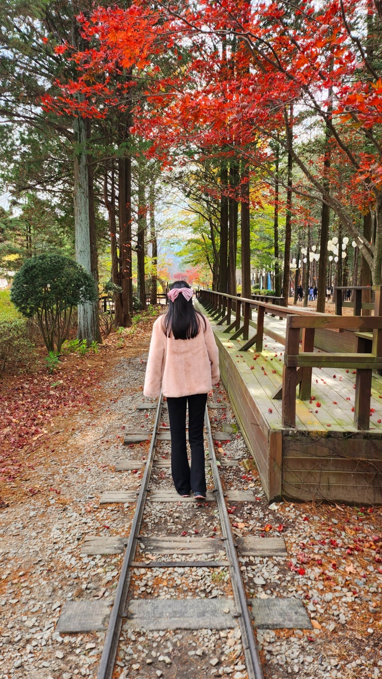  가을연가