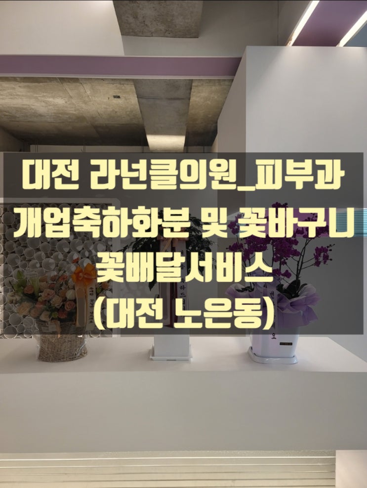  대전 노은동 라넌클의원 꽃바구니, 녹보수 개업축하화분 배달했습니다.