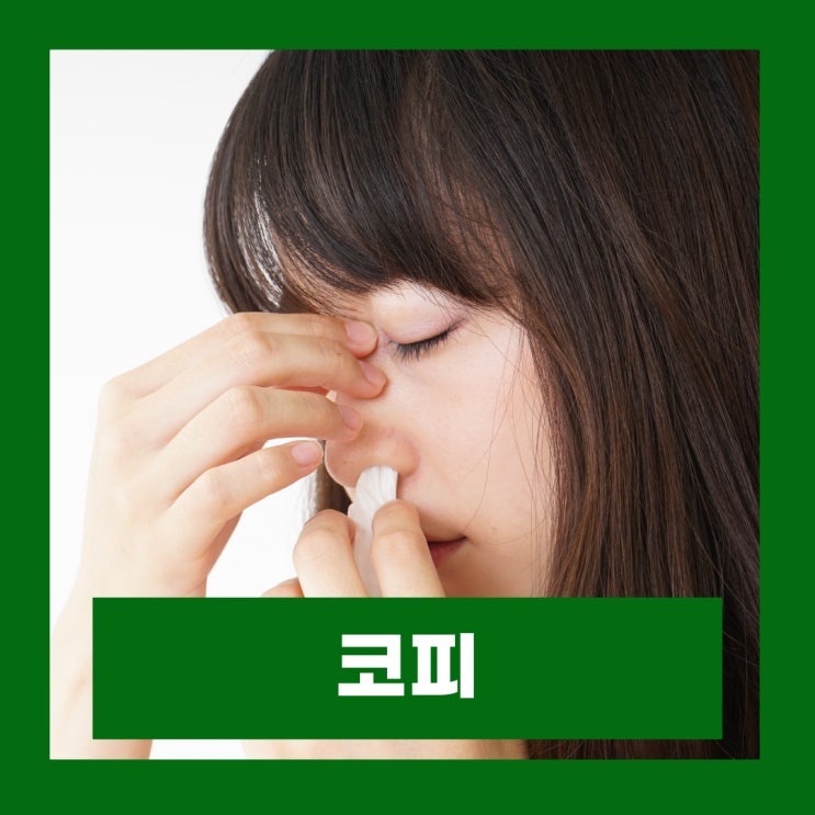  코피 멈추는법 자주나는 이유