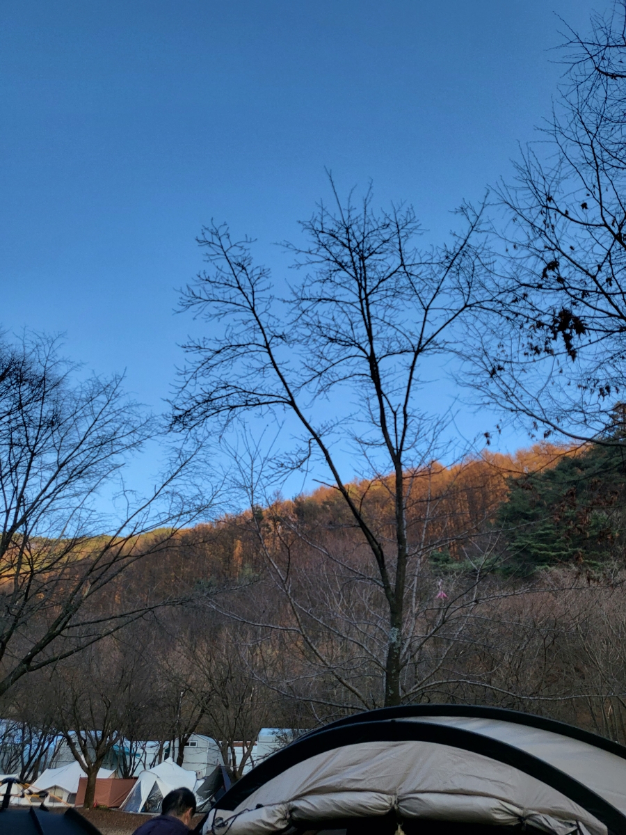 치악신림오토캠핑장 사진 4