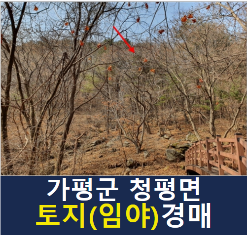 아름뜰펜션 사진 1