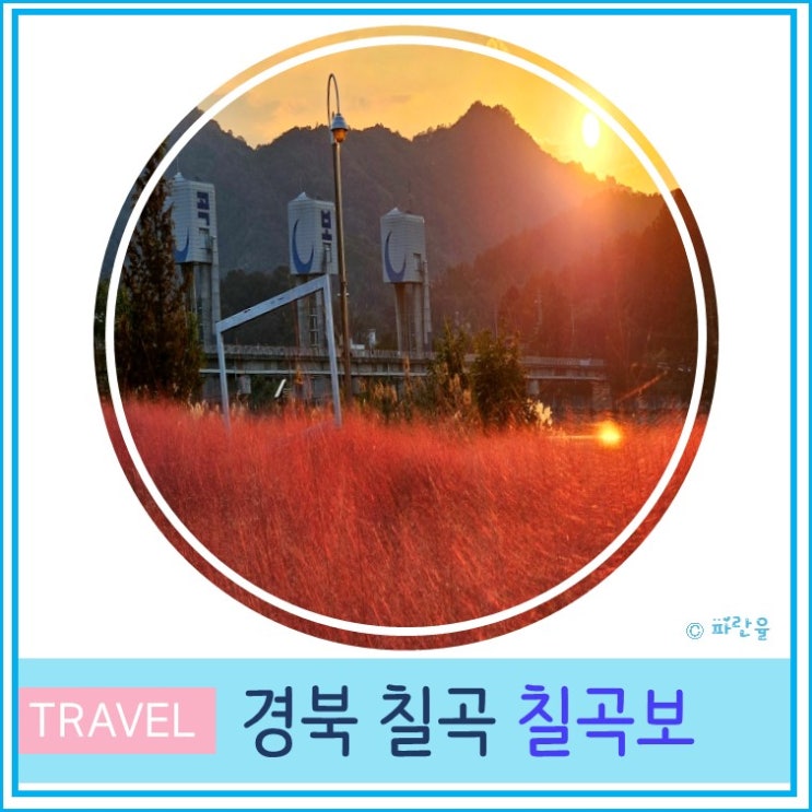  대구 근교 산책하기 좋은 칠곡보 생태공원 경북 가볼만한 곳