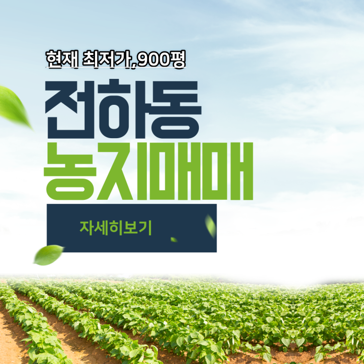 김해 농지매매 전하동 900평 현재 최저가 급매물