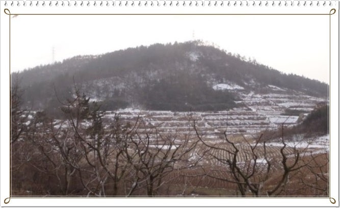 옥룡산 사진 3