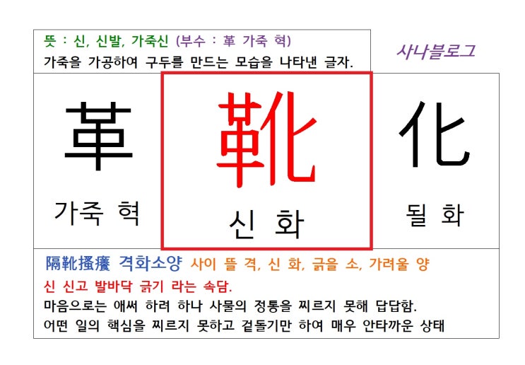  신 화