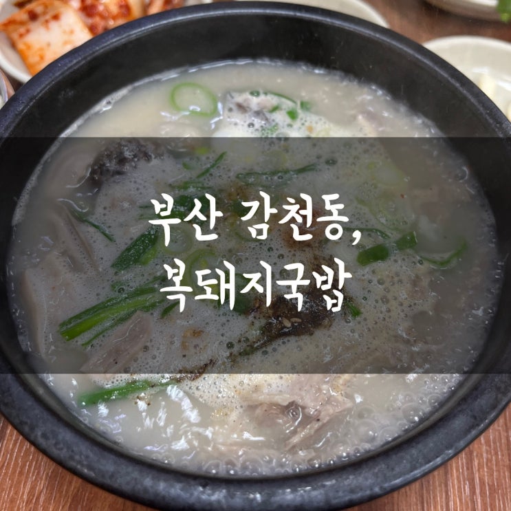 부산 감천 맛집 복 돼지국밥 현지인 강추