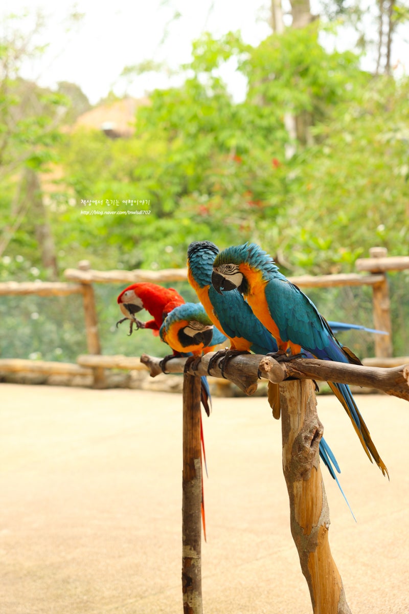 North korea north korea hi-res stock photography and images - Page 178 -  Alamy, image size:800x1200