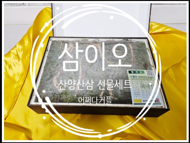  부모님선물, 감사선물로 좋은 자연산산삼 삼이오 정7년근 산양산삼 선물세트