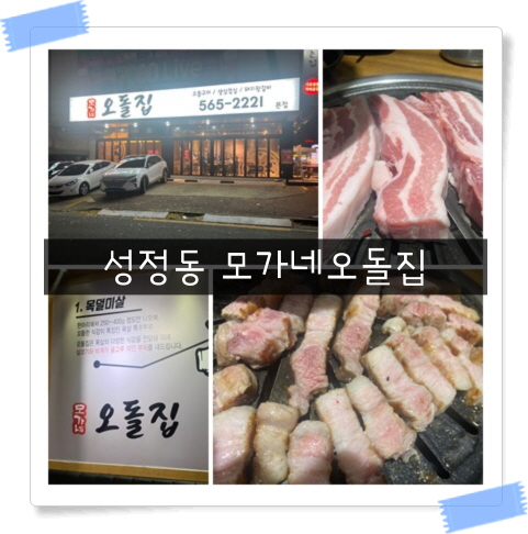  [성정동 맛집] 천안 회식 장소로 좋은 모가네오돌집